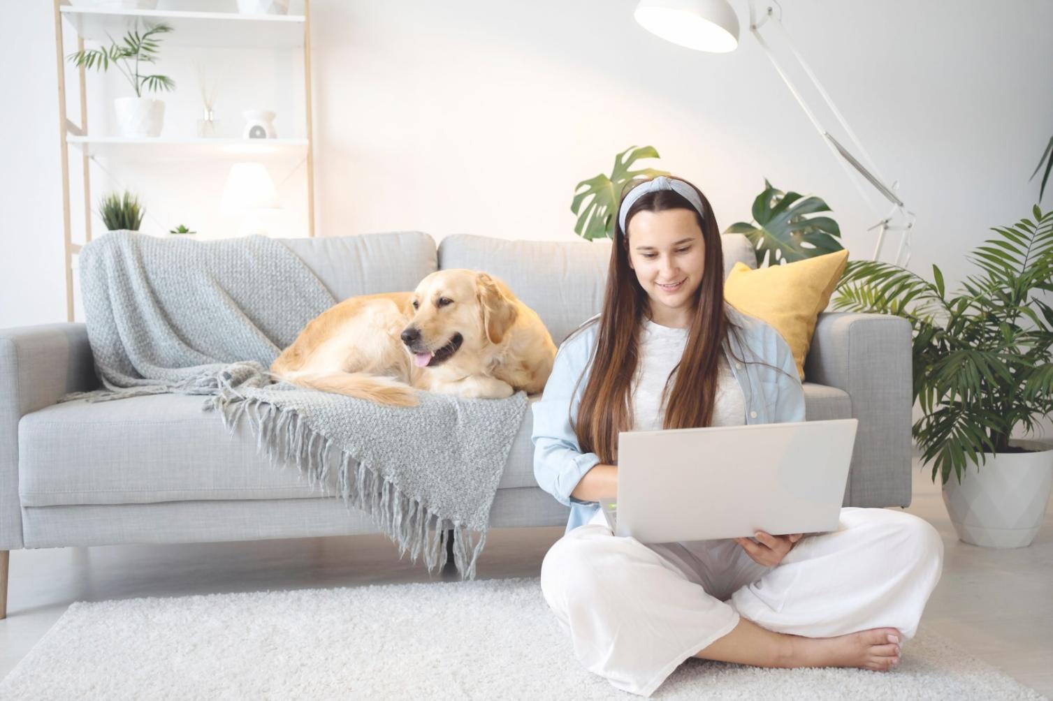 Bureau collaboratif avec équipe travaillant sur stratégie marketing digitale